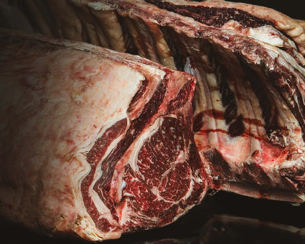 Rücken vom Chianina, gereift